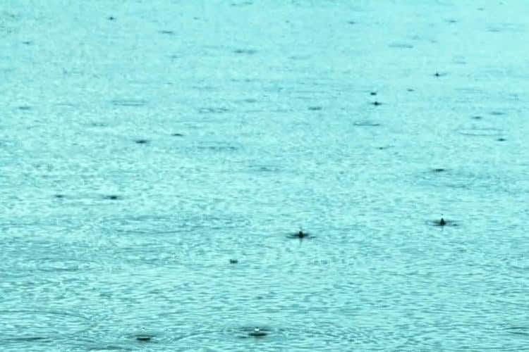 rainy day activities virginia beach