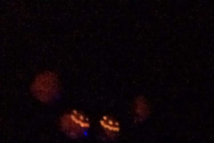 Busch Gardens Howl-o-Scream